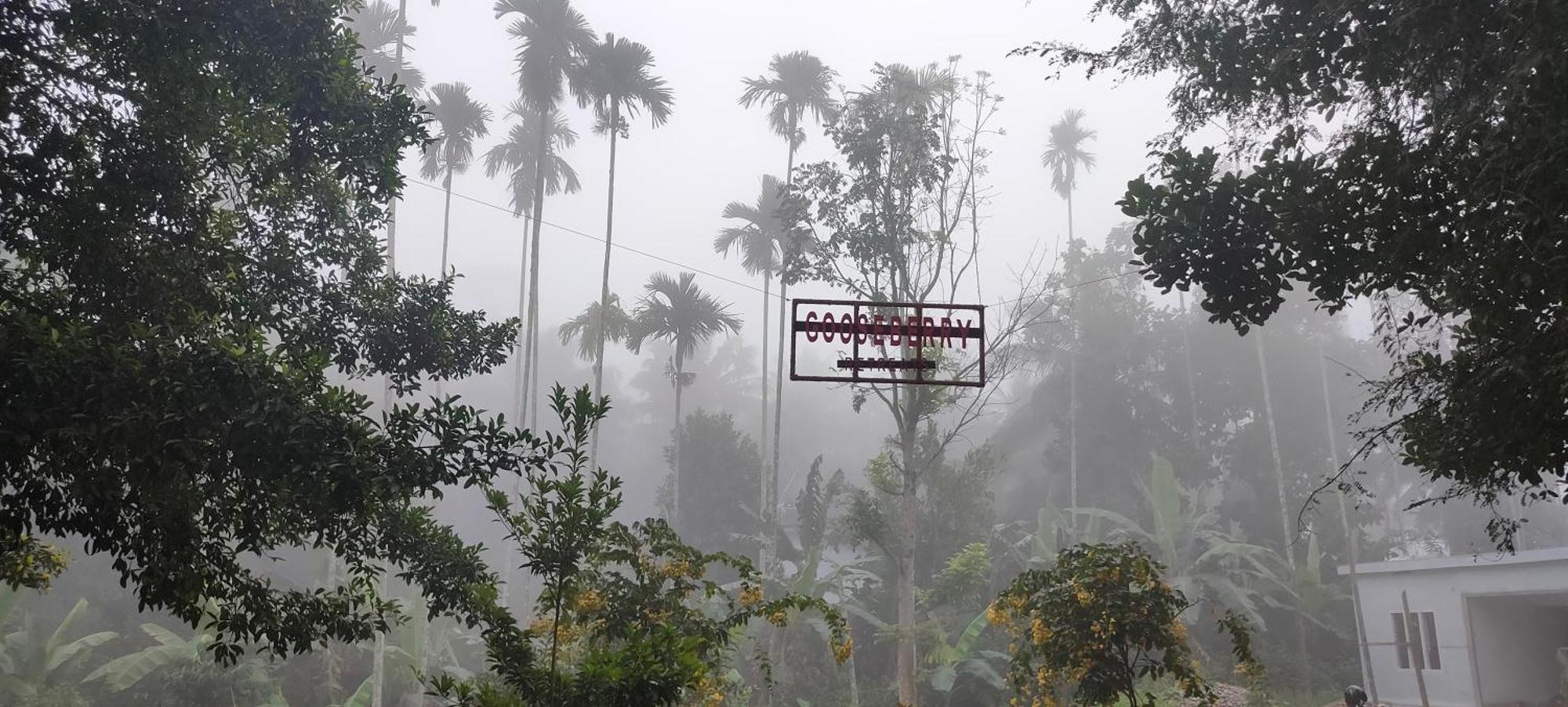 Gooseberry Family Retreats - Wayanad By Karapuzha Resorts Meenangadi 外观 照片