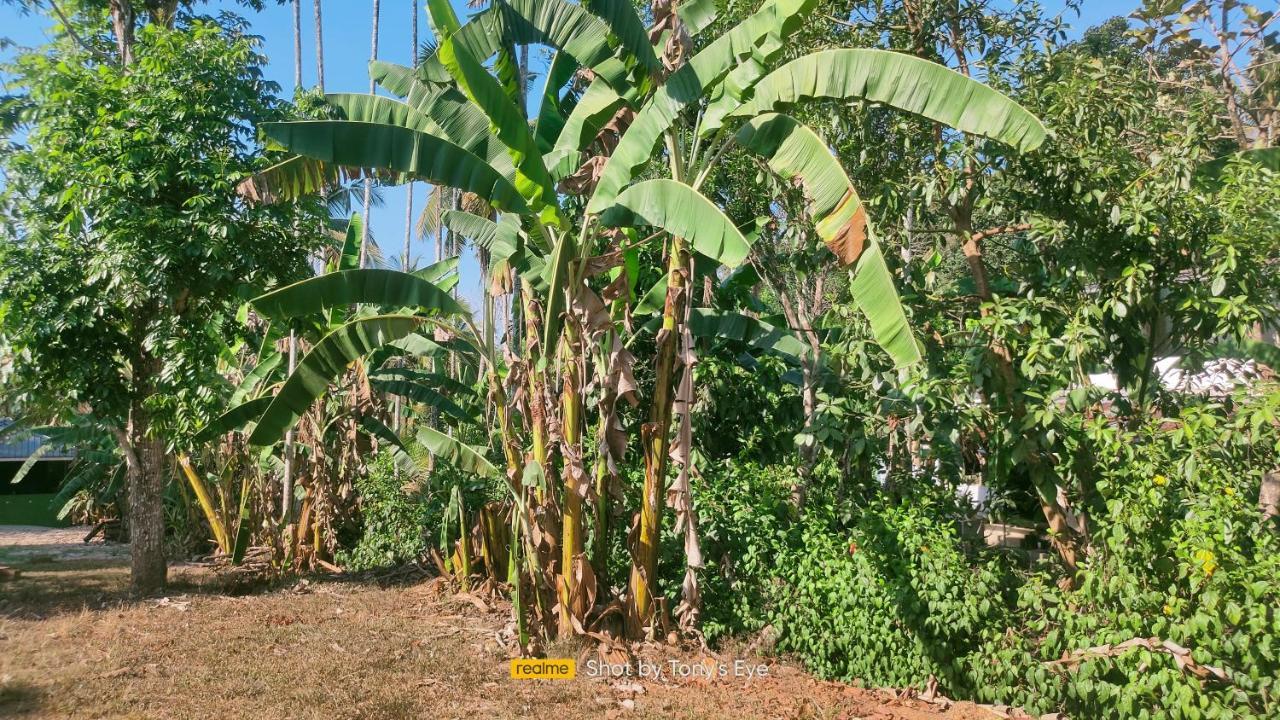 Gooseberry Family Retreats - Wayanad By Karapuzha Resorts Meenangadi 外观 照片
